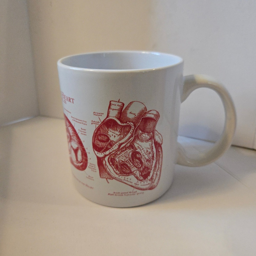 Cognitive Surplus Mug Anatomy Science Medical Biology White Red Heart EUC Scienc